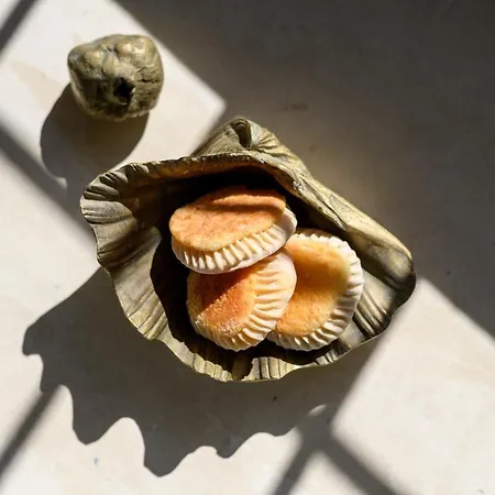 Willa Astraea House *