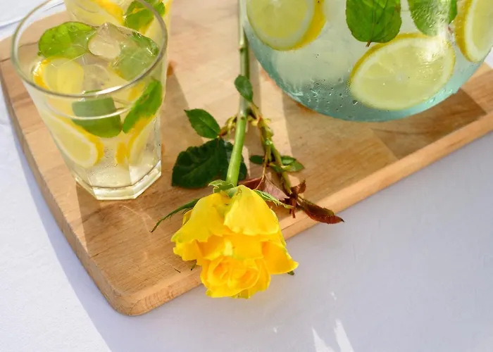 Willa Astraea House *