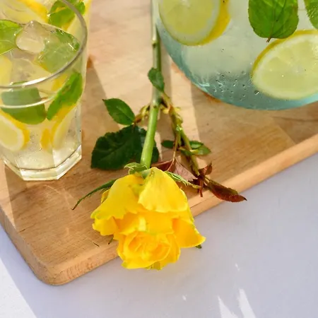 Villa Astraea House *